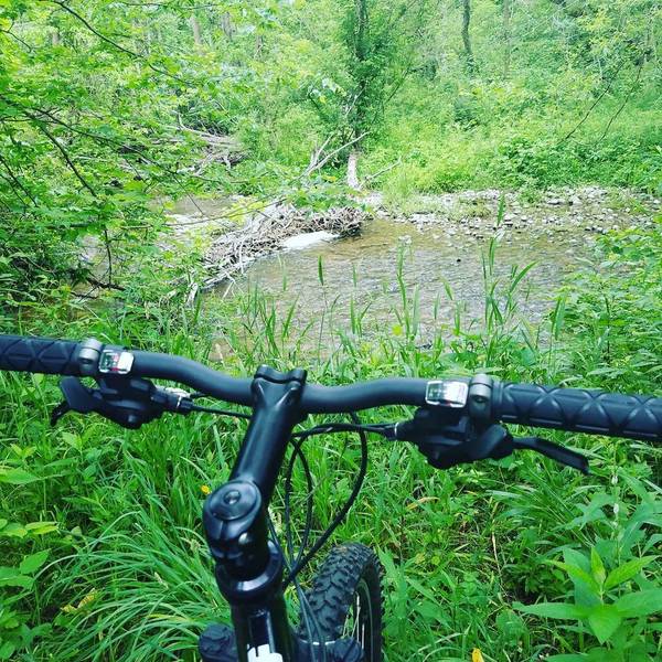 Overlooking a creek near the grand river.