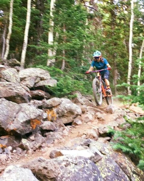 A rider dashes through this short rocky section on the Mesa Top Trail. I hiked it!