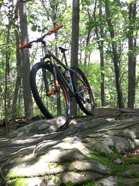 Somewhere near Wolf Pond Road on the Rattling Creek Ride.