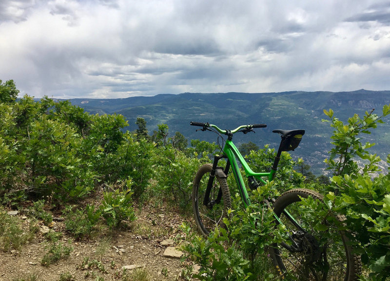 Peeking out to enjoy some views off the Pinkerton-Flagstaff Trail.