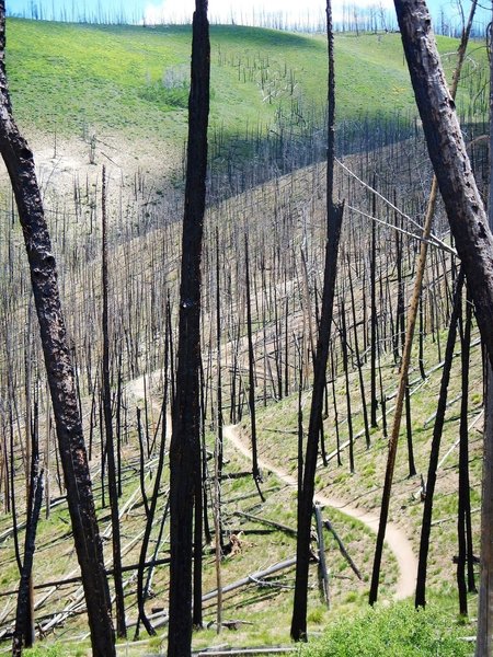 The burn areas are truly unique to ride through.