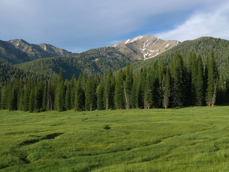 Beautiful meadows line the Galena View Loop. I loved doing this ride in the evening as a cool down.