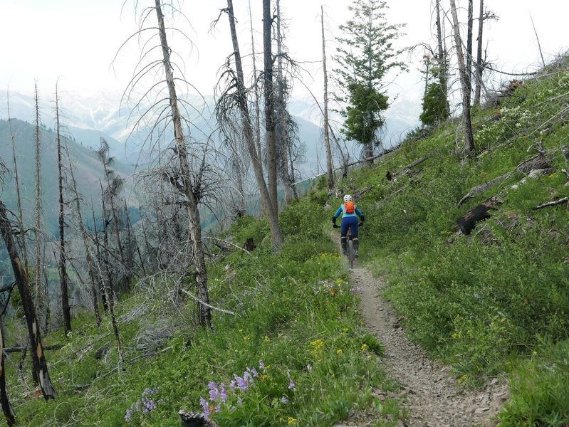 The upper section of Warm Springs Trail has great views!