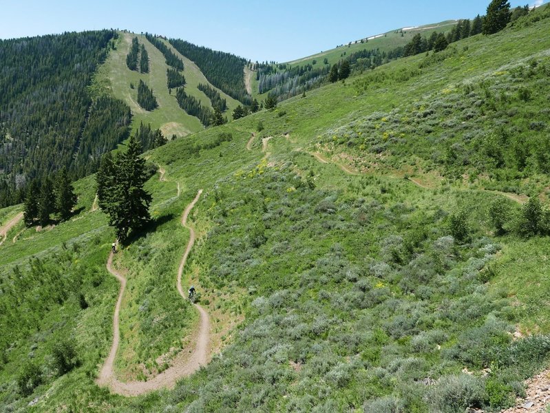 The Lupine Trail and nearby Saddle-Up Flow trail have great momentum and are super fun. They can be a bit dusty though.