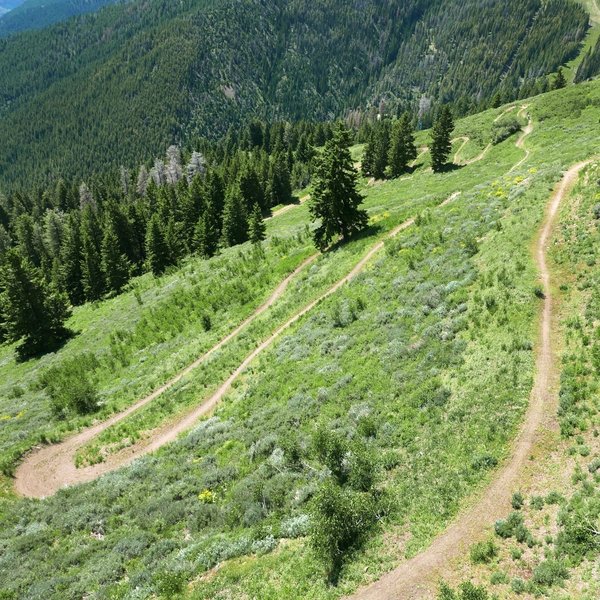 Incredible setting for a flow trail!