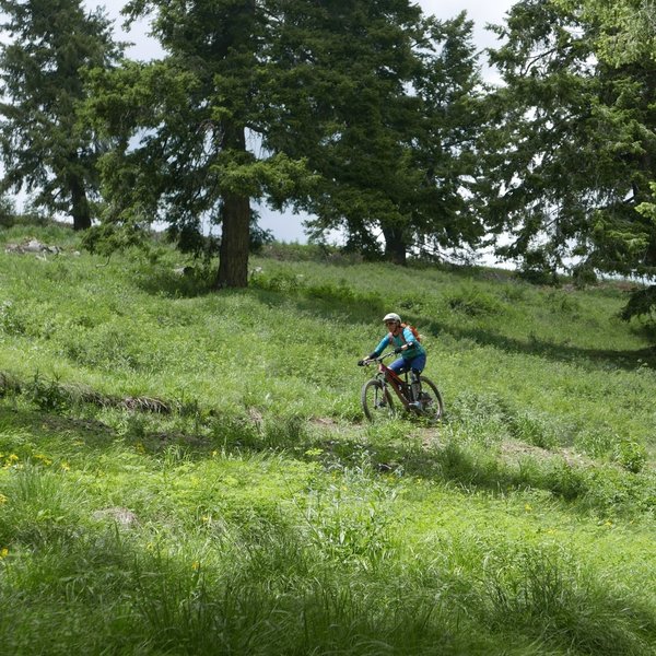 Descending the cooler side of the mountain.