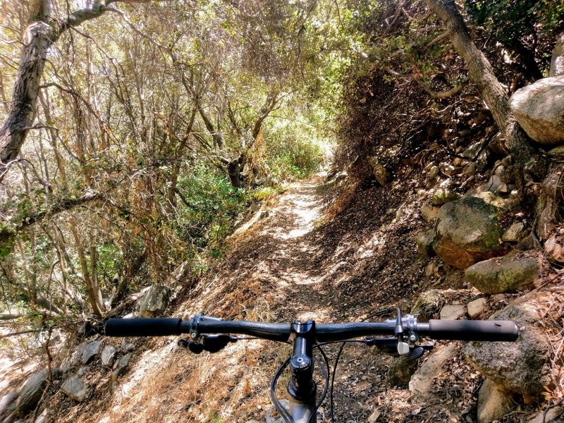 Big boulders, steep shoulders, and plenty of shade on an eastern section of Gabrielino Trail NRT