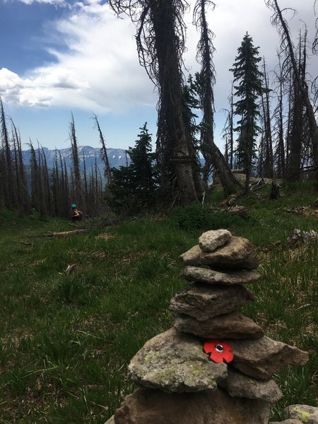 This carin and the USFS sign on the tree mark the nonexistant start to Treasure Mountain Trail.