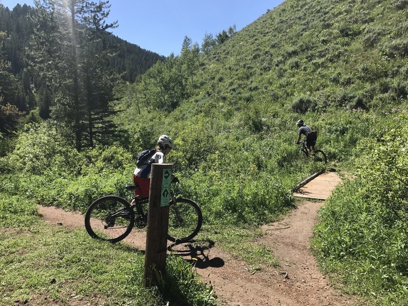 Riders starting the ascent of West Game from its eastern end at Game Creek Trail.