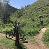 Riders starting the ascent of West Game from its eastern end at Game Creek Trail.