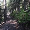 Continuing southeast along the bench-cut with intermittent views across the Cache Creek drainage.