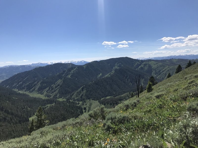 Looking south/southwest toward Wilson and Game Canyons from the Lookout Spur.