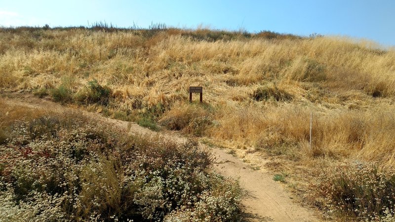 The bottom entrance to Three Hawks Trail. It starts right off the street, very close to Thunderbird Trail's bottom entrance.