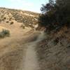 Descending Thunderbird Trail. The camber of the singletrack makes it feel like it wants to push you off.