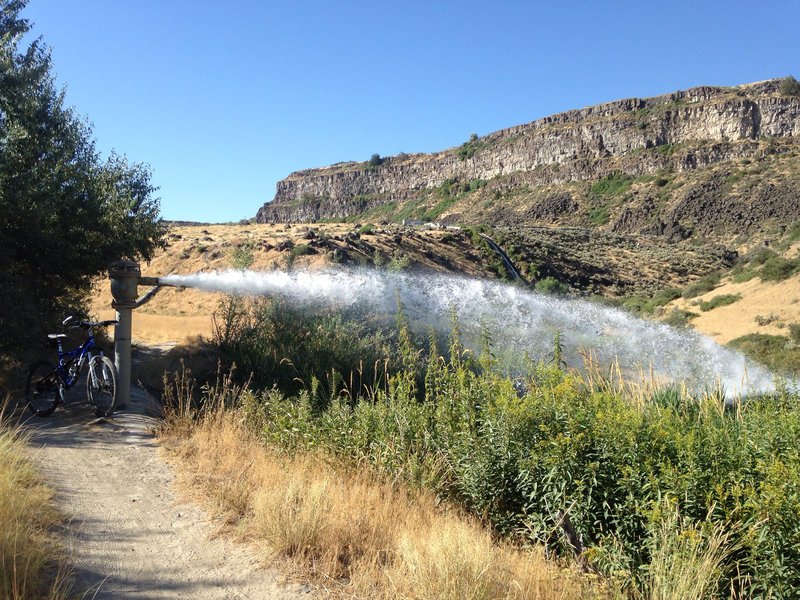 An unexpected fountain, right by the trail.