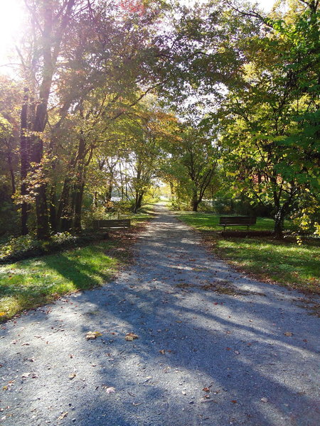 One of many scenic stretches along the Greenbelt Lake Trail.