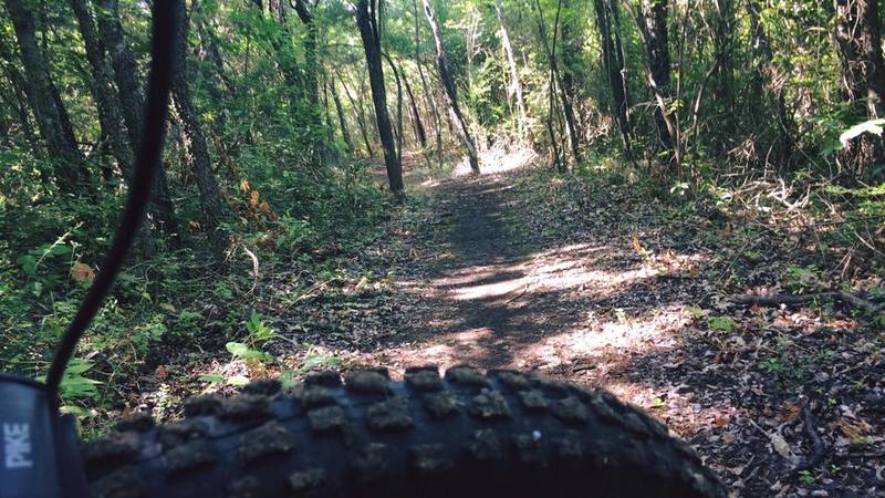 A wide corridor and nice singletrack makes for a good ride at Binkley Park.