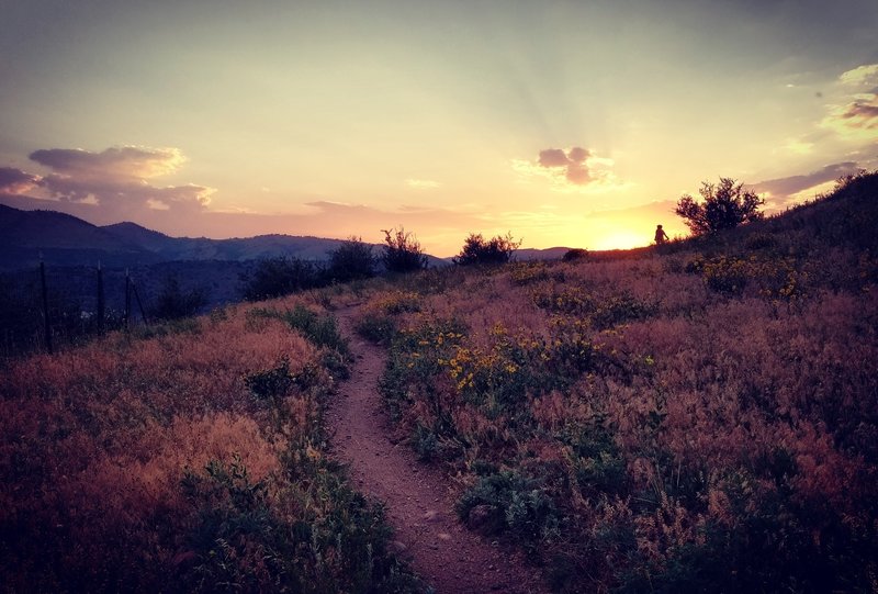A beautiful sunset from a clockwise loop, turns out counterclockwise is the better way to enjoy the Rooney Valley Trail.