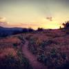 A beautiful sunset from a clockwise loop, turns out counterclockwise is the better way to enjoy the Rooney Valley Trail.