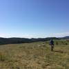 Climbing up an alpine meadow.