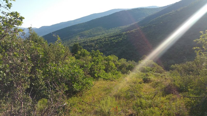 Views from the trails at High Star Ranch.