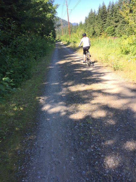 Typical section of trail. Wide and well groomed.