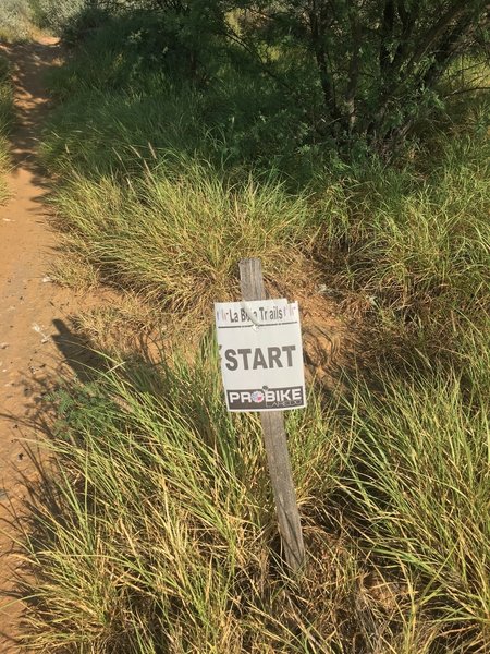 Trail Start marker.  Look for similar markers through out the trail system.