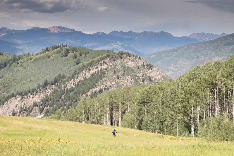 The descent down Whiskey Creek (from the top of Line Shack) is incredible!