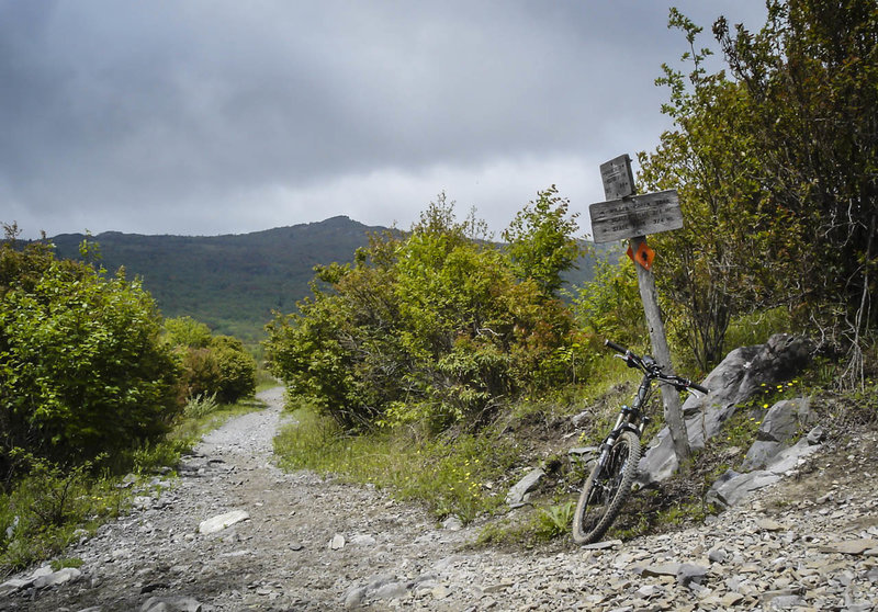 The Virginia Highlands Horse Trail features rocky trails, water crossings, and awesome views; as well as a few horses