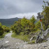 The Virginia Highlands Horse Trail features rocky trails, water crossings, and awesome views; as well as a few horses