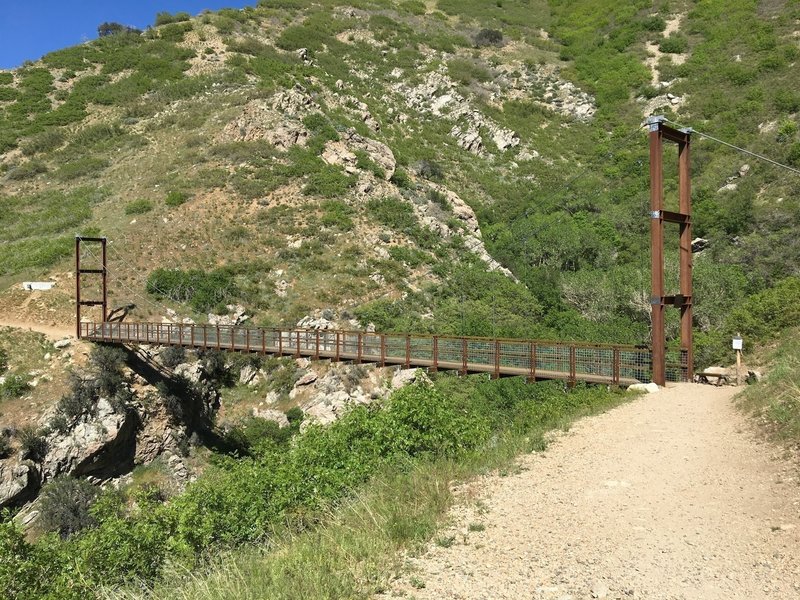 Bear Canyon Suspension Bridge is fun to cross and a great reminder of how much effort goes into building and maintaining trails!