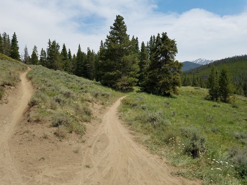 Looking south as the CT trail continues - go right to continue on the Soda Creek loop back to the ranch