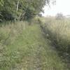 Heading into some field portions.