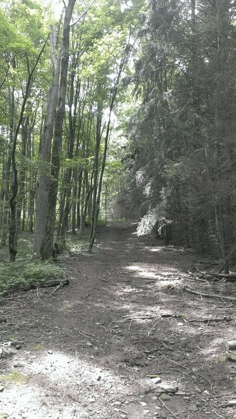 View from the bottom of the big downhill (when riding south to north)