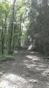 View from the bottom of the big downhill (when riding south to north)