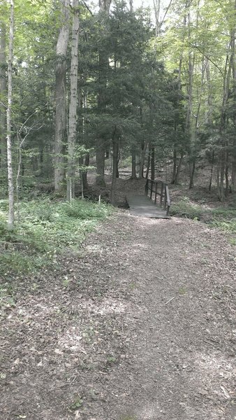 Back onto the trail - typical full width bridge. Getting ready for the big climbs coming up.