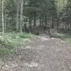 Back onto the trail - typical full width bridge. Getting ready for the big climbs coming up.