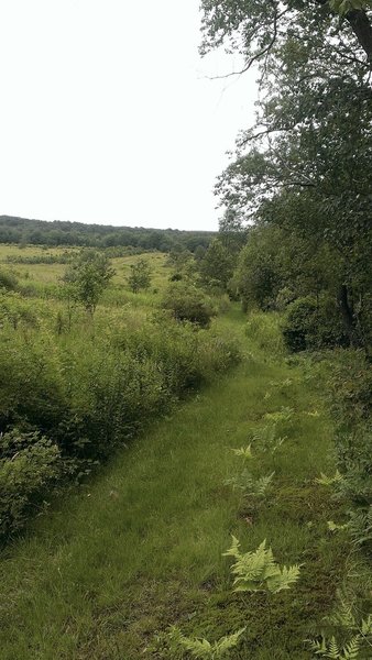 Heading along the open fields - one of the smoother open field portions.