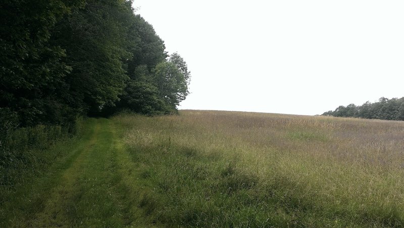 Heading into the private property fields - keep on eye on the blue markings and stick to the field path!