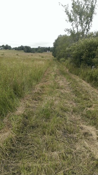 Rough go at it to make the trail connections. Stay along the edge, very rough riding through the cut vegetation up to the road.