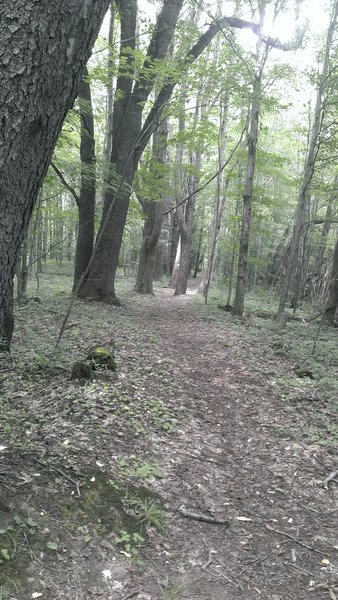 Heading toward the CHQ Gorge - good flowing wide track