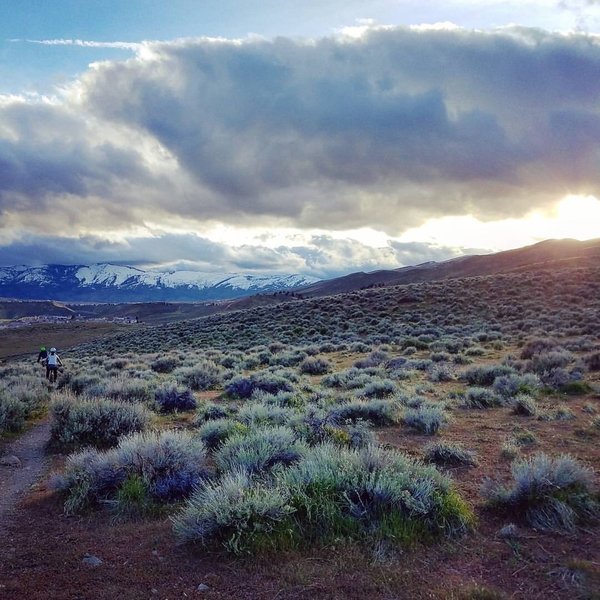 Chasing light on Halo Trail