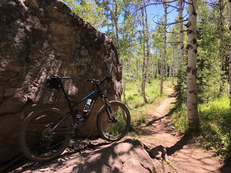 The diversity of Flash of Gold: boulders, aspens, wide open vista, aspens, etc.