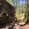 The diversity of Flash of Gold: boulders, aspens, wide open vista, aspens, etc.