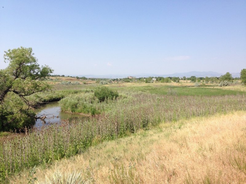 Big Dry Creek west of Federal, looking west