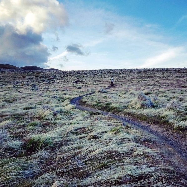 Windswept grassland in Crispy Bacon trail.