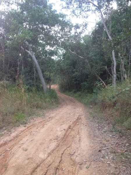 Downhill into small creek crossing showing water ruts.