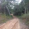 Downhill into small creek crossing showing water ruts.