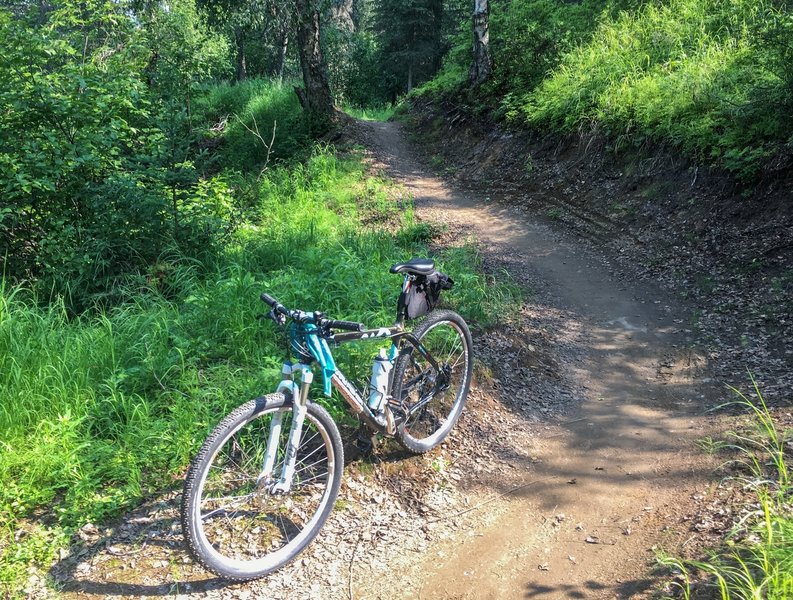 A smooth tread on one of the newly re-worked sections of the trail.