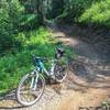 A smooth tread on one of the newly re-worked sections of the trail.